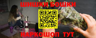 индика Бердск