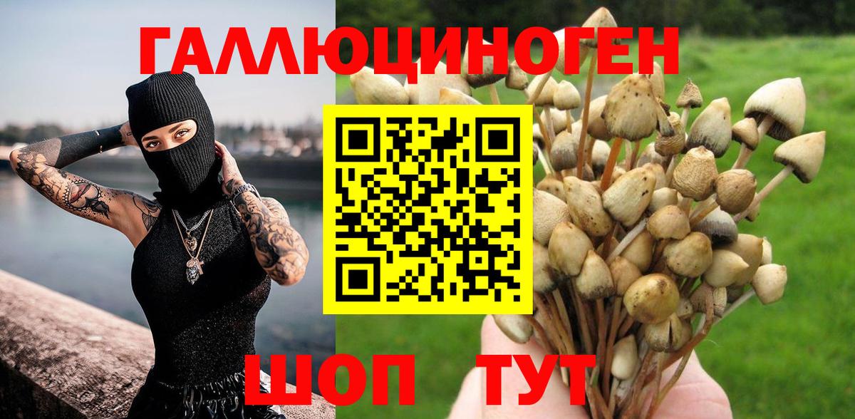 Галлюциногенные грибы Magic Shrooms  Вход с VPN  Грязи 