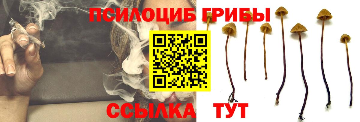 Псилоцибиновые грибы мухоморы Грязи